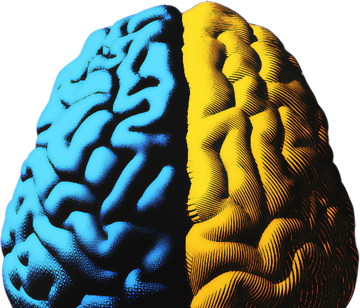 Cérebro analíco criativo